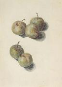 Edouard Manet Etude de cinq prunes (mk40) oil painting picture wholesale
